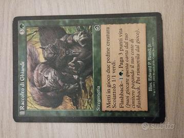 carta magic raccolto di ghiande