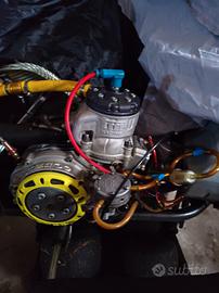 motore go-kart KZ 10C