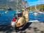 Immagine 6