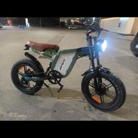 bici elettrica assistita 