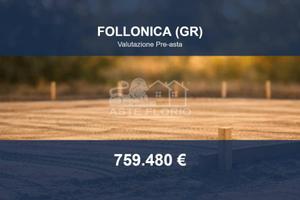 Immobile in asta di 11235 m² a Follonica
