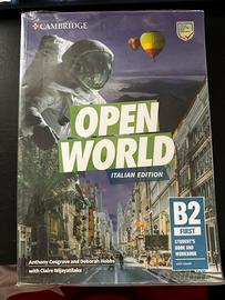Open world
