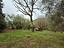Immagine 28