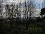 Immagine 12