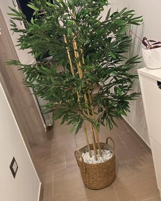 Pianta artificiale decorativa tipo bambù alta 1,50