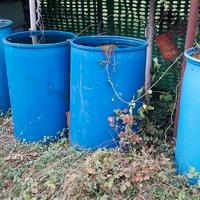 bidoni per recupero acqua