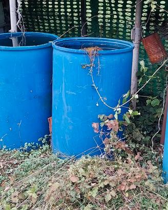 bidoni per recupero acqua
