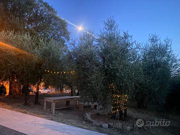 Appartamento campagna toscana