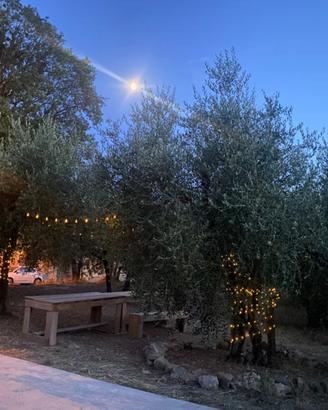Appartamento campagna toscana