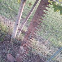 Barra falciante per Bucher