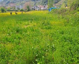 Vendesi Terreno agricolo sul lago di Como