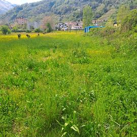 Vendesi Terreno agricolo sul lago di Como