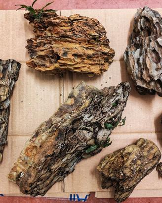 Rocce per acquario "dragon stone"