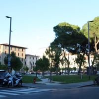 FIRENZE STATUTO Attività commerciale