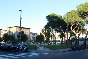 FIRENZE STATUTO Attività commerciale