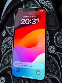 12 pro iphone