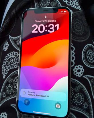 12 pro iphone