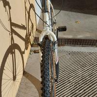 Bicicletta mountain bike