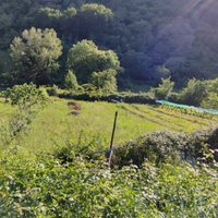 X giovani imprenditori agricoli