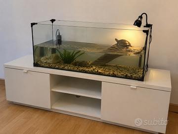 Acquario in vetro 81x35x30 cm – circa 85L – Ottime
