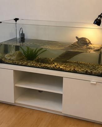 Acquario in vetro 81x35x30 cm – circa 85L – Ottime