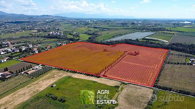 Tenuta agricola di 19 HA con B&B e impianto kiwi