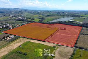 Tenuta agricola di 19 HA con B&B e impianto kiwi