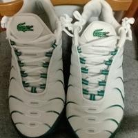 tn Lacoste 43 
