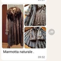 pelliccia vera marmotta naturale
