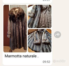 pelliccia vera marmotta naturale