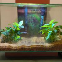 Acquario Askoll Fluval Edge 23 litri