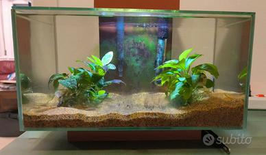 Acquario Askoll Fluval Edge 23 litri
