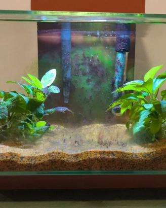 Acquario Askoll Fluval Edge 23 litri