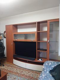 Mobili di soggiorno 