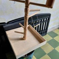 gioco per pappagalli