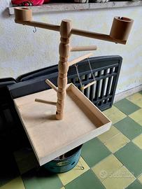 gioco per pappagalli