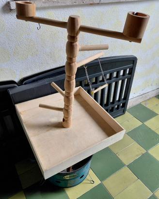 gioco per pappagalli