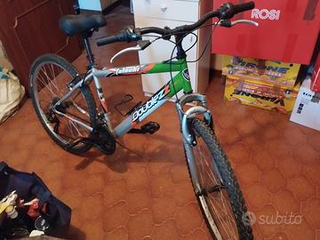 bicicletta da uomo/ragazzo