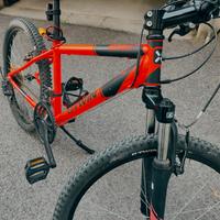 bicicletta da bambino 
