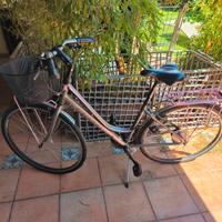 Citybike Bottecchia