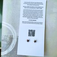 Orecchini argento "Comete"