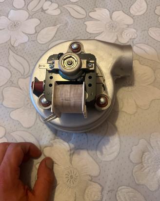 Ventilatore di fumi caldaia