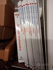 Esplorando il corpo umano