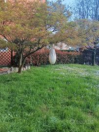 Casa semindipendente