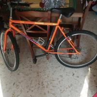 bicicletta MTB