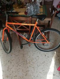 bicicletta MTB