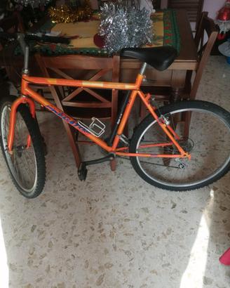 bicicletta MTB