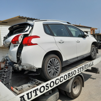 Peugeot 2008 1600 td 2014 ricambi