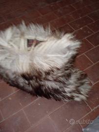 doposci in pelliccia misura 40