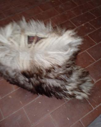 doposci in pelliccia misura 40